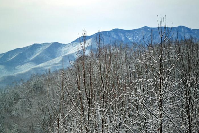 Mountain High Villa Gatlinburg Ngoại thất bức ảnh